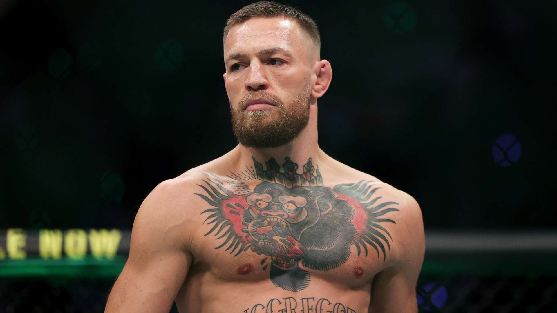 洲赛场上争 洲赛场上争